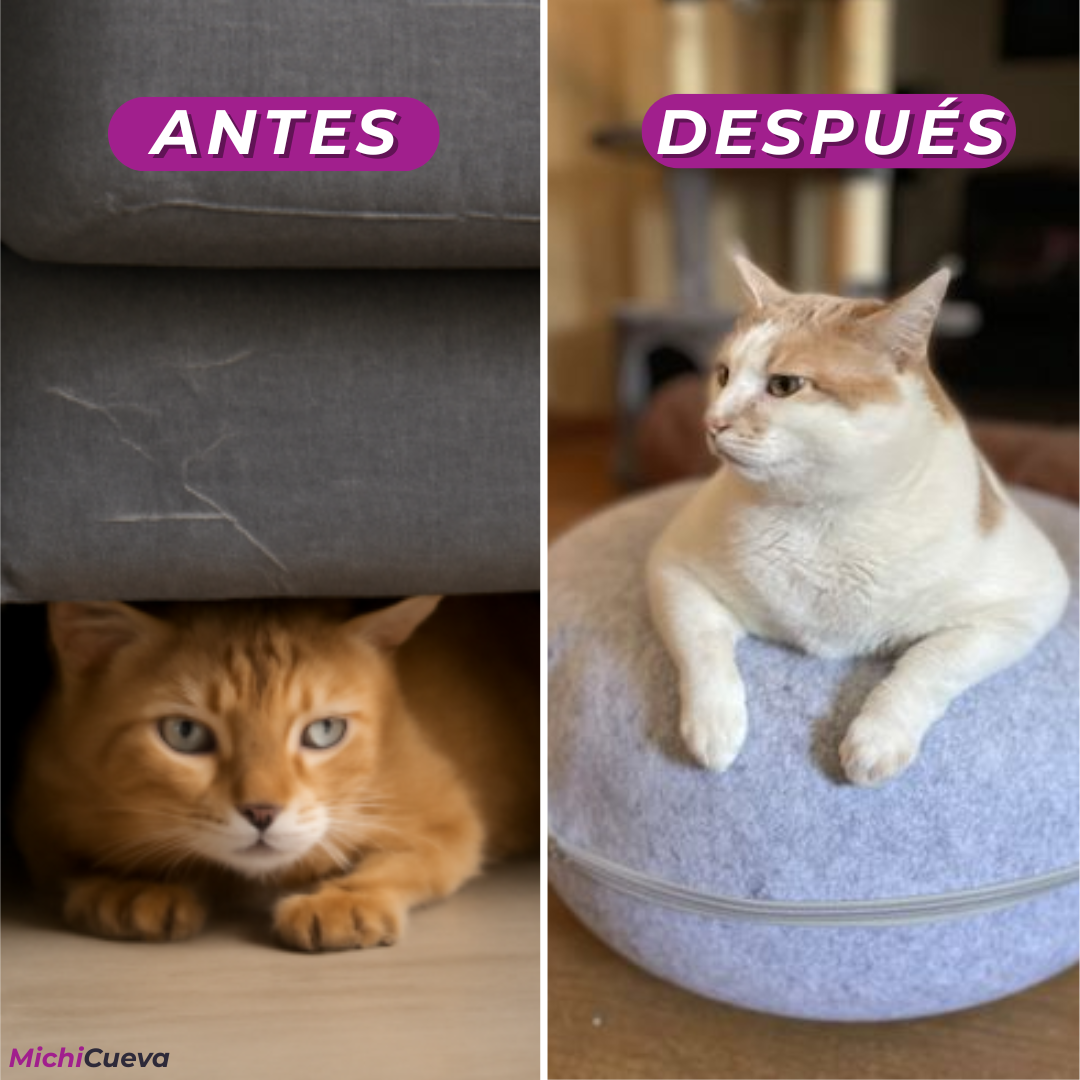 Cama para Michis Estresados | Evita que Rompa Sofás y Alfombras