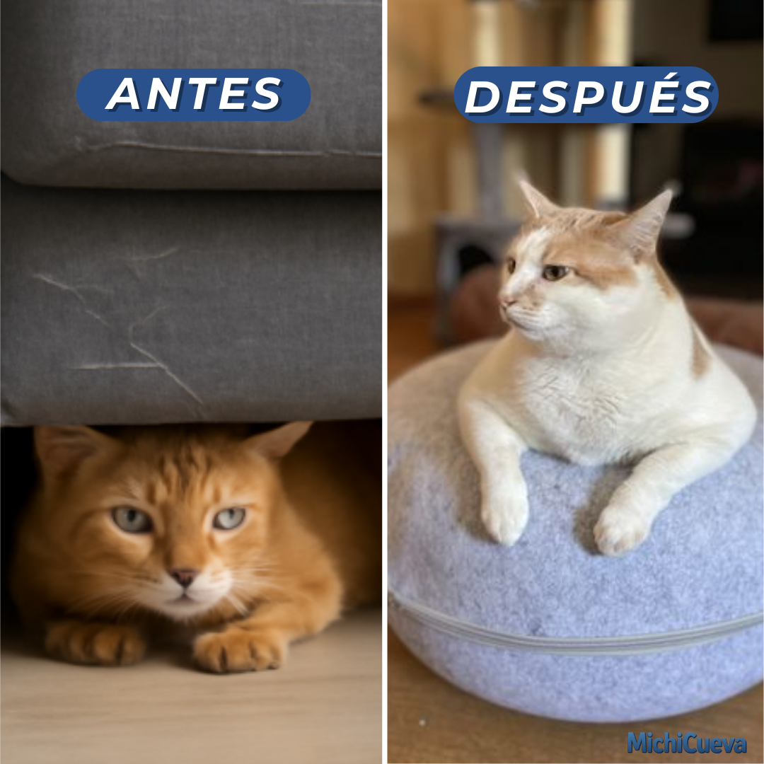 Cama Anti Estrés 3 en 1 | Duerme, juega y relaja