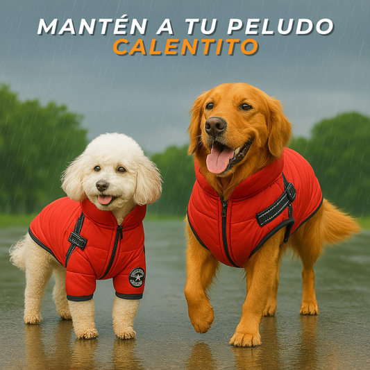 Chaqueta Impermeable para Perros + Libro Digital Gratis